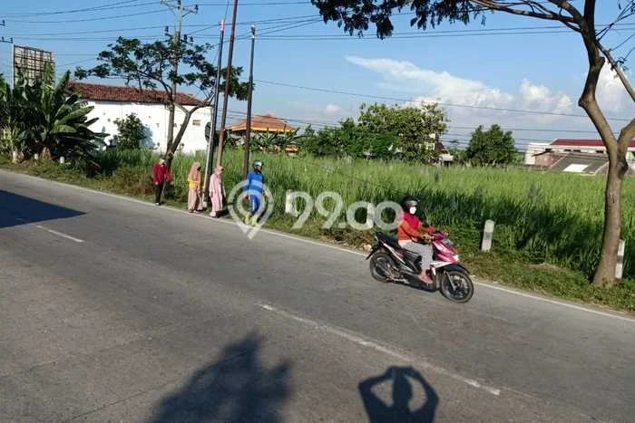 Dijual Tanah di Pati Pati Luas 6299m2 SHM Dijual Tanah di Pati Pati Luas 6299m2 SHM