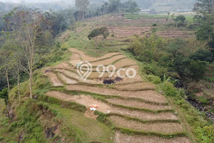 Tanah Dijual Area Strategis di Mojokerto Mojokerto 1552m2 Tanah Dijual Area Strategis di Mojokerto Mojokerto 1552m2