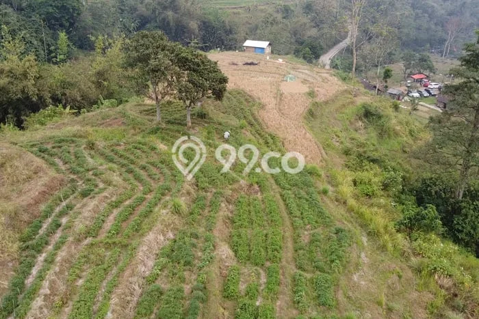 Tanah Dijual Area Strategis di Mojokerto Mojokerto 1552m2 Tanah Dijual Area Strategis di Mojokerto Mojokerto 1552m2