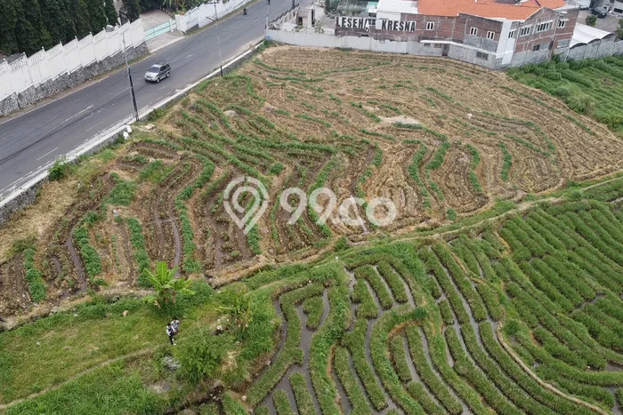 Tanah Dijual Area Strategis di Mojokerto Mojokerto 2520m2 Tanah Dijual Area Strategis di Mojokerto Mojokerto 2520m2