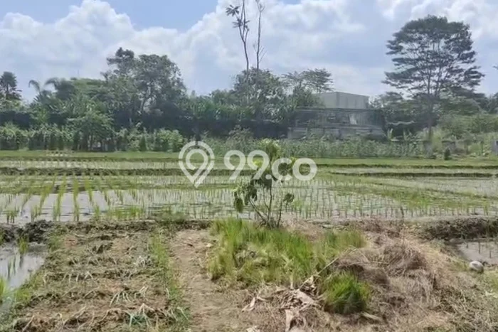 Jarang Ada! Tanah di Soreang Punya Luas 4800m2 SHM Jarang Ada! Tanah di Soreang Punya Luas 4800m2 SHM