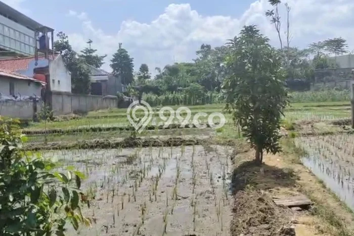 Jarang Ada! Tanah di Soreang Punya Luas 4800m2 SHM Jarang Ada! Tanah di Soreang Punya Luas 4800m2 SHM
