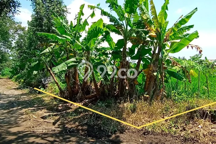 Tanah Dijual Area Strategis di Maguwoharjo Yogyakarta 556m2 Tanah Dijual Area Strategis di Maguwoharjo Yogyakarta 556m2