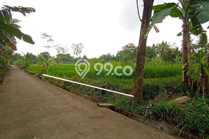Kavling Tanah di Pakem Dijual Luas 781m2 Legalitas SHM Kavling Tanah di Pakem Dijual Luas 781m2 Legalitas SHM