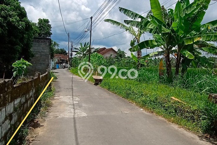 Tanah di Mlati, Sleman Luas 661m2 Dijual Segera Tanah di Mlati, Sleman Luas 661m2 Dijual Segera