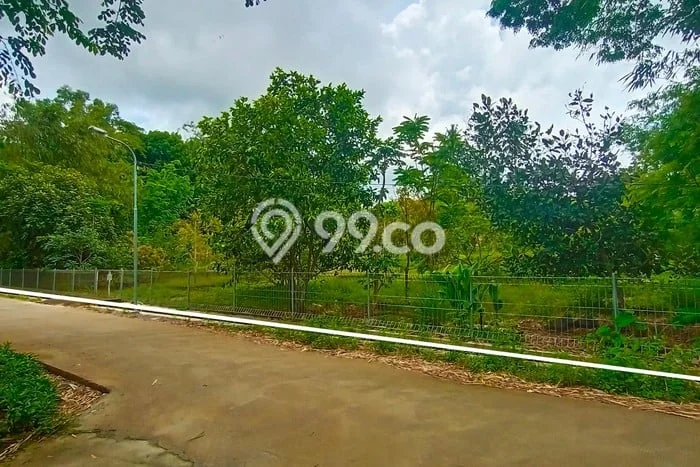 Kavling Tanah di Sleman Dijual Luas 2800m2 Legalitas SHM Kavling Tanah di Sleman Dijual Luas 2800m2 Legalitas SHM