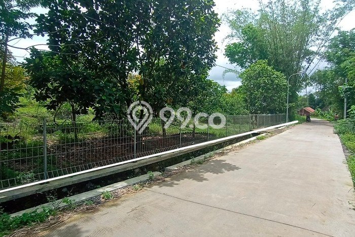 Kavling Tanah di Sleman Dijual Luas 2800m2 Legalitas SHM Kavling Tanah di Sleman Dijual Luas 2800m2 Legalitas SHM