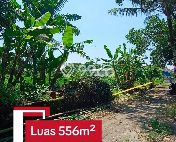 Tanah Dijual Area Strategis di Maguwoharjo Yogyakarta 556m2 Tanah Dijual Area Strategis di Maguwoharjo Yogyakarta 556m2