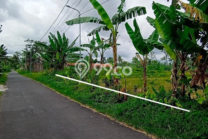Tanah Kavling Dijual di Maguwoharjo, Yogyakarta dengan Luas Tanah 1394m2 Tanah Kavling Dijual di Maguwoharjo, Yogyakarta dengan Luas Tanah 1394m2