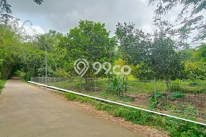 Kavling Tanah di Sleman Dijual Luas 2800m2 Legalitas SHM Kavling Tanah di Sleman Dijual Luas 2800m2 Legalitas SHM