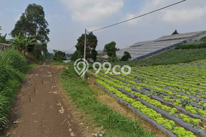 Tanah Kawasan Lembang, Luas 4886m², Dekat Jalan Raya, Area Prospektif Tanah Kawasan Lembang, Luas 4886m², Dekat Jalan Raya, Area Prospektif
