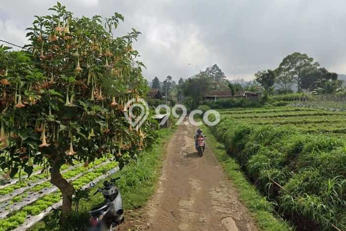 Tanah Kawasan Lembang, Luas 4886m², Dekat Jalan Raya, Area Prospektif Tanah Kawasan Lembang, Luas 4886m², Dekat Jalan Raya, Area Prospektif