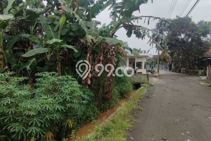 Kavling Tanah di Mlati Dijual Luas 1485m2 Legalitas SHM Kavling Tanah di Mlati Dijual Luas 1485m2 Legalitas SHM