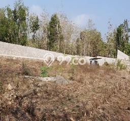 Tanah Kavling untuk Dijual di Sentolo Kulon Progo 9076m2 Tanah Kavling untuk Dijual di Sentolo Kulon Progo 9076m2