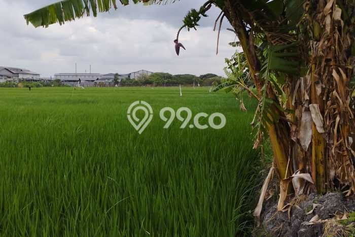 HARGA MENARIK! Tanah Kawasan Gresik Kota, Luas 5030m2m², Lokasi Potensial HARGA MENARIK! Tanah Kawasan Gresik Kota, Luas 5030m2m², Lokasi Potensial