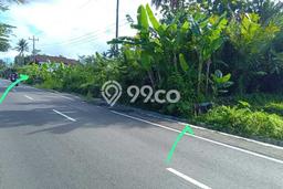 Tanah di Pakem, Sleman Luas 2971m2 Dijual Segera Tanah di Pakem, Sleman Luas 2971m2 Dijual Segera