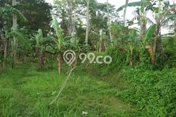 Tanah Kavling untuk Dijual di Ubud Gianyar 2090m2 Tanah Kavling untuk Dijual di Ubud Gianyar 2090m2