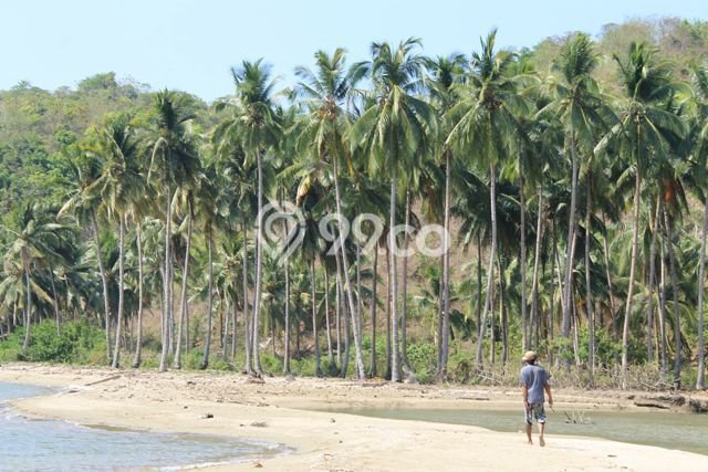 POTENSIAL! Tanah Kawasan Labuan Bajo, Luas 1.4e+06m², Area Berkembang POTENSIAL! Tanah Kawasan Labuan Bajo, Luas 1.4e+06m², Area Berkembang