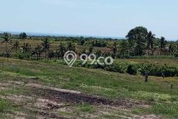 Tanah untuk Dijual Lokasi Tabanan, Tabanan Luas 7000m2 SHM Tanah untuk Dijual Lokasi Tabanan, Tabanan Luas 7000m2 SHM