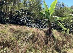 Tanah Dijual Lokasi Kintamani, Bangli Luas 22500m2 Legalitas Aman Tanah Dijual Lokasi Kintamani, Bangli Luas 22500m2 Legalitas Aman