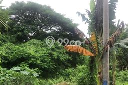 Tanah Dijual Lokasi Strategis di Badung dengan Luas 5400m2 Tanah Dijual Lokasi Strategis di Badung dengan Luas 5400m2