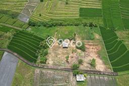 Tanah Investasi Dijual di Badung Punya Luas 3590m2 Tanah Investasi Dijual di Badung Punya Luas 3590m2