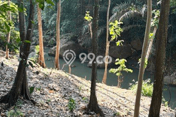 Lahan untuk Dijual di Tabanan Tabanan Luas 3499m2 Lahan untuk Dijual di Tabanan Tabanan Luas 3499m2