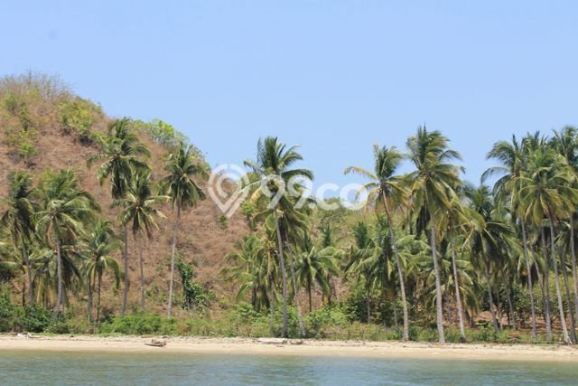 POTENSIAL! Tanah Kawasan Labuan Bajo, Luas 1.4e+06m², Area Berkembang POTENSIAL! Tanah Kawasan Labuan Bajo, Luas 1.4e+06m², Area Berkembang