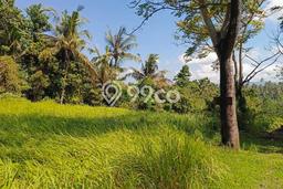 Tanah Dijual Lokasi Tumbu Karangasem SHM Tanah Dijual Lokasi Tumbu Karangasem SHM