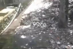 Kavling Tanah Dijual di Ubud Gianyar Spesifikasi 1700m2 Kavling Tanah Dijual di Ubud Gianyar Spesifikasi 1700m2