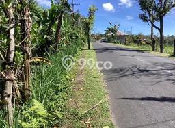 Jarang Ada! Tanah di Kintamani Punya Luas 25153m2 SHM Jarang Ada! Tanah di Kintamani Punya Luas 25153m2 SHM
