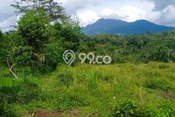 Lahan untuk Dijual Lokasi Kintamani, Bangli Luas 16000m2 SHM Lahan untuk Dijual Lokasi Kintamani, Bangli Luas 16000m2 SHM