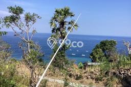 Tanah di Karangasem, Karangasem Luas 12000m2 Dijual Segera Tanah di Karangasem, Karangasem Luas 12000m2 Dijual Segera
