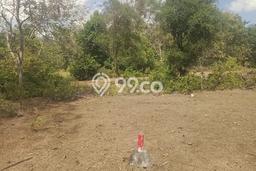 Tanah Kavling Dijual di Bukit, Badung dengan Luas Tanah 1400m2 Tanah Kavling Dijual di Bukit, Badung dengan Luas Tanah 1400m2
