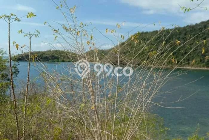 Dijual Tanah 28250m2 di Labuan Bajo, Manggarai Barat Dijual Tanah 28250m2 di Labuan Bajo, Manggarai Barat