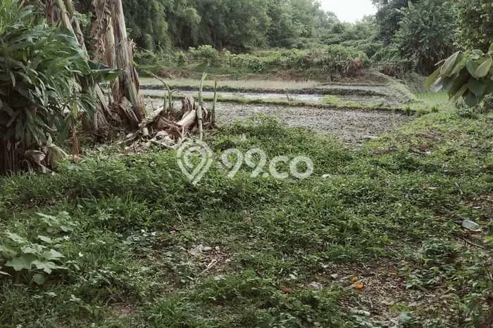 Jarang Ada! Tanah di Cikande Punya Luas 3200m2 - Jarang Ada! Tanah di Cikande Punya Luas 3200m2 -