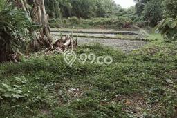 Jarang Ada! Tanah di Cikande Punya Luas 3200m2 - Jarang Ada! Tanah di Cikande Punya Luas 3200m2 -
