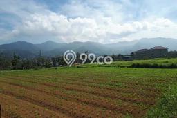 Jarang Ada! Tanah di Cisarua Punya Luas 190000m2 SHM Jarang Ada! Tanah di Cisarua Punya Luas 190000m2 SHM