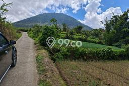 Untuk Dijual Tanah di Tabanan, Luas 500m2 SHM Untuk Dijual Tanah di Tabanan, Luas 500m2 SHM