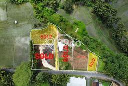 Dijual Kavling Kecil di Pengosekan Ubud View Sawah Dijual Kavling Kecil di Pengosekan Ubud View Sawah