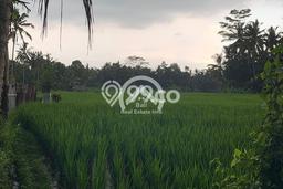 Dijual Tanah Hak Milik di Jalan Keliki Kawan Gianyar Dijual Tanah Hak Milik di Jalan Keliki Kawan Gianyar