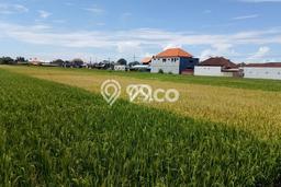 Tanah Full View Sawah Super Langka Di Jl Pantai Kedungu Tanah Full View Sawah Super Langka Di Jl Pantai Kedungu