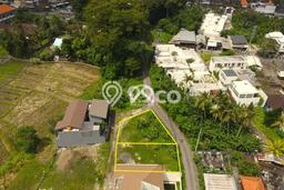 Land For Sale Tumbak Bayuh Jalan Griya Mas Dekat Canggu Land For Sale Tumbak Bayuh Jalan Griya Mas Dekat Canggu