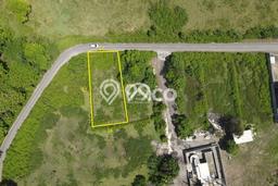 Tanah Siap Bangun Dijual di Tabanan Punya Luas 600m2 Tanah Siap Bangun Dijual di Tabanan Punya Luas 600m2