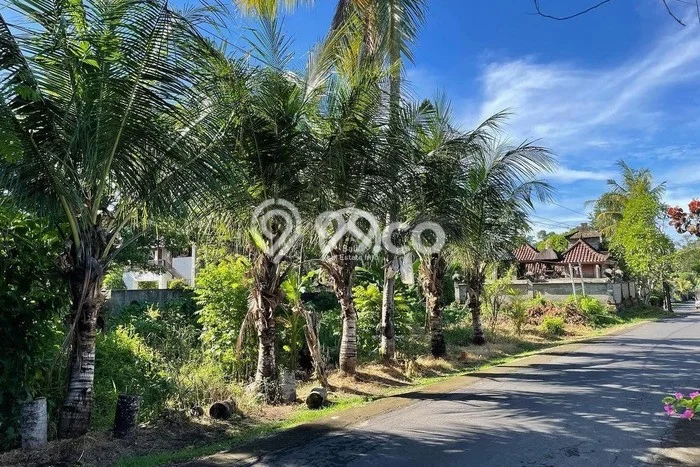 Tanah Dijual Area Strategis di Kaba kaba Tabanan 211m2 Tanah Dijual Area Strategis di Kaba kaba Tabanan 211m2