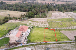 Kavling Tanah untuk Dijual di Beraban, Tabanan, Luas 980m2 Kavling Tanah untuk Dijual di Beraban, Tabanan, Luas 980m2