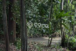 Lahan Disewakan Lokasi Tumbak Bayuh Badung Luas 780m2 Lahan Disewakan Lokasi Tumbak Bayuh Badung Luas 780m2
