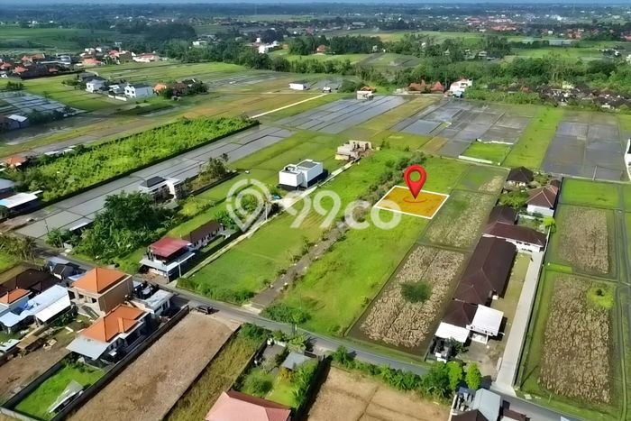 Untuk Dijual Tanah di Tabanan, Luas 500m2 SHM Untuk Dijual Tanah di Tabanan, Luas 500m2 SHM