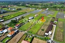 Untuk Dijual Tanah di Tabanan, Luas 500m2 SHM Untuk Dijual Tanah di Tabanan, Luas 500m2 SHM