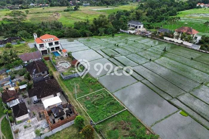 Dijual Tanah Lokasi Buwit, Tabanan Seluas 200m2 Dijual Tanah Lokasi Buwit, Tabanan Seluas 200m2